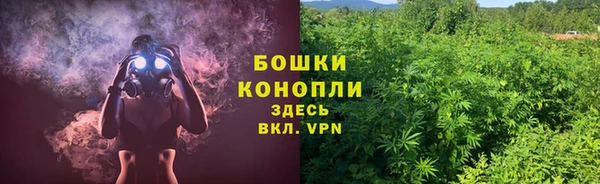 крисы Няндома
