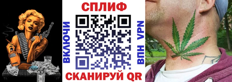 Купить где  Сунжа  Шишки марихуана планчик 